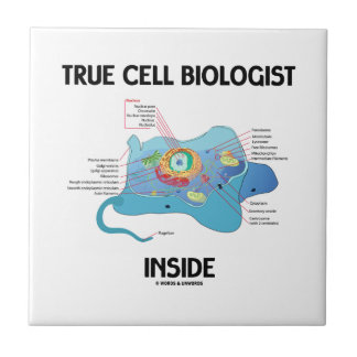 Wahres Zellen-Biologen-Innere (Eukaryote) Fliese