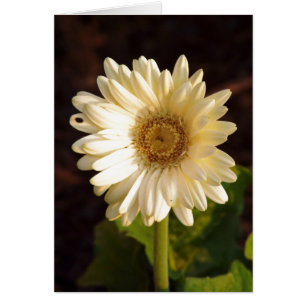 Wahrgenommene Mängel