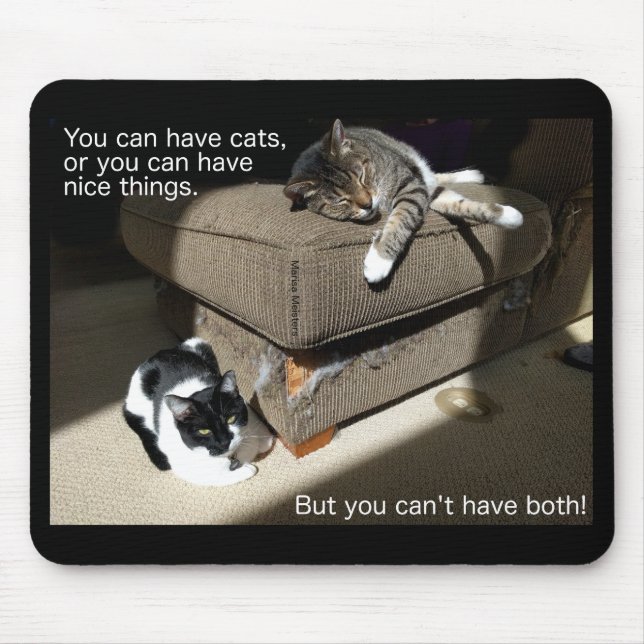 Wahrheit in der Katze-vertising Katze Meme Mousepad (Vorne)
