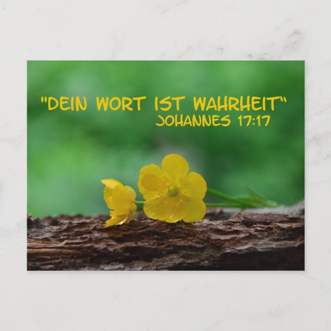Wahrheit. Postkarte (Vorderseite)