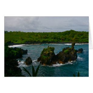 Waianapanapa Staat Park, Maui