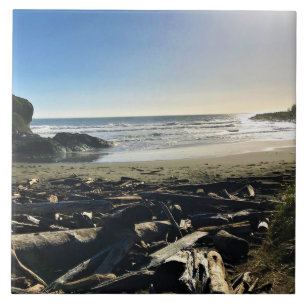 Waikiki Beach, Cape Disappoinment, Washington Fliese