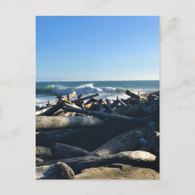 Waikiki Beach, Cape Disappoinment, Washington Postkarte (Vorderseite)