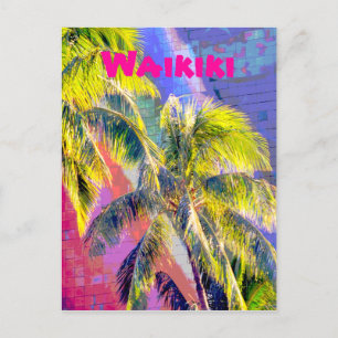 Waikiki Palm Tree Color Postcard Postkarte