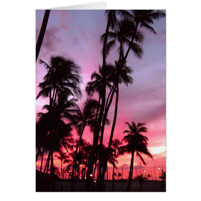 Waikiki Sonnenuntergang (Vorne)