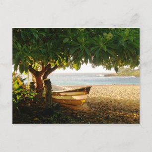 Waimea Bay Summer Eve Foto von Daniela Power Postkarte