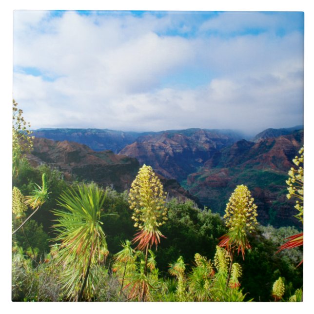 Waimea Canyon | Kauai, Hawaii Fliese (Vorderseite)