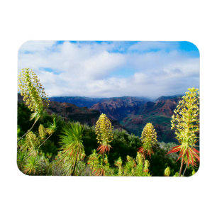 Waimea Canyon Kauai, Hawaii Magnet
