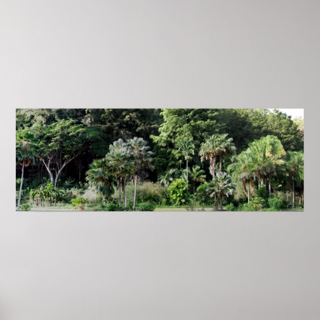 Waimea Falls Park Poster (Vorne)