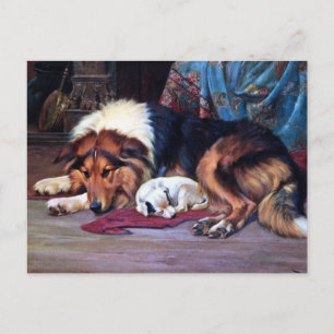 Waisen Hund mit Collie Vintage Kunst Postkarte
