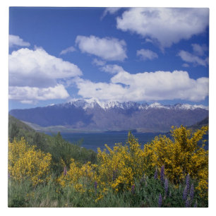 Wakatipu-See und die Remarkables, Queenstown, Fliese