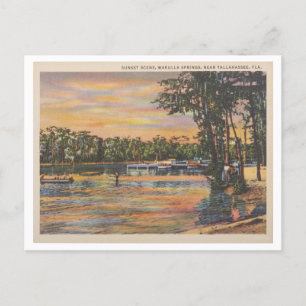 Wakulla Springs Florida Vintager Sonnenuntergang a Postkarte
