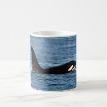 Wal "Aquarius" Westküste Tasse Orca