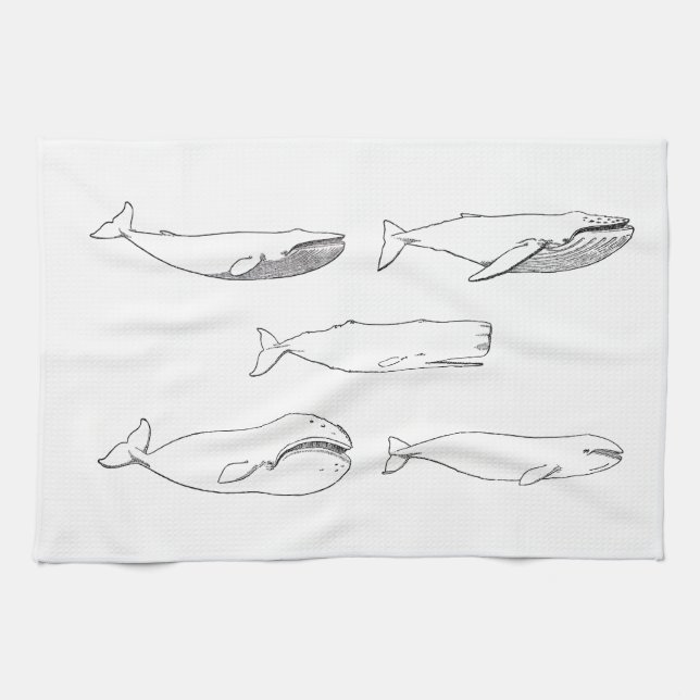 Wal-Illustration (Linie Kunst) Geschirrtuch (Horizontal)
