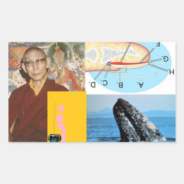 Wal im Nail Rechteckiger Aufkleber (Vorderseite)