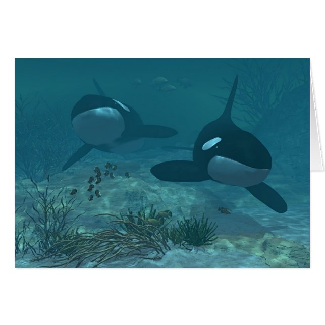 Wal-Szene (Vorderseite (Horizontal))