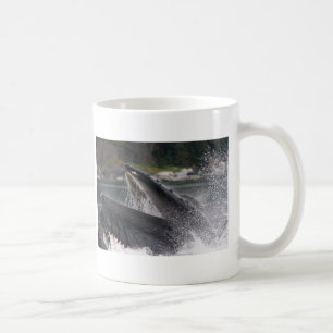 Wal Tasse