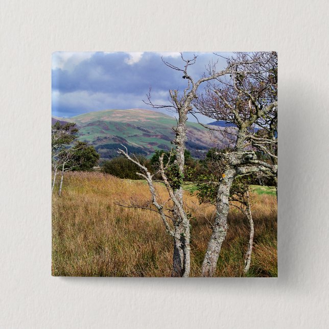 WALANSICHT BUTTON (Vorderseite)