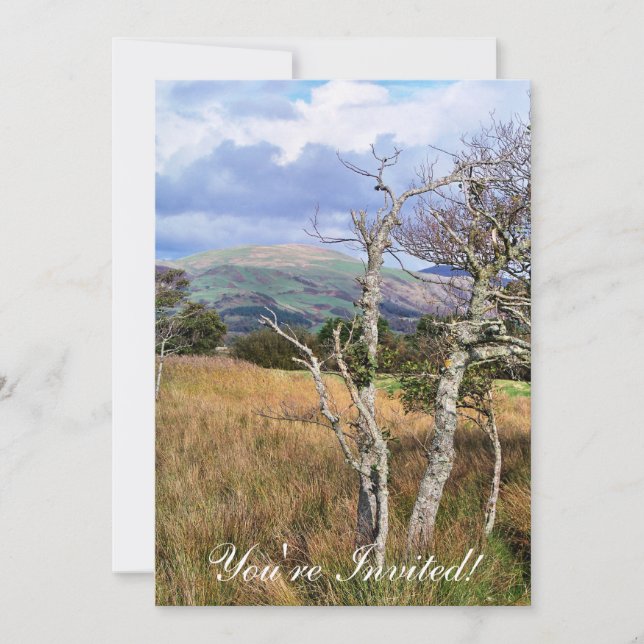 WALANSICHT EINLADUNG (Vorderseite)