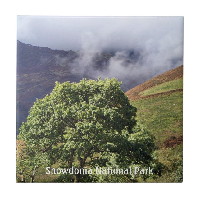 WALANSICHT FLIESE (Vorderseite)