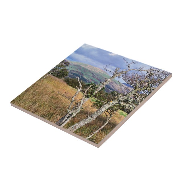 WALANSICHT FLIESE (Seite)