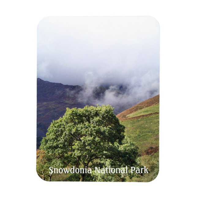 WALANSICHT MAGNET (Vertikal)