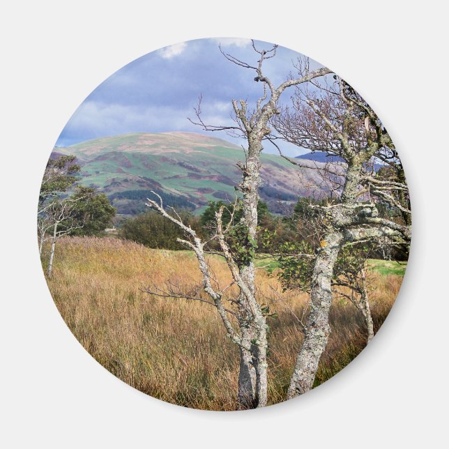 WALANSICHT MAGNET (Vorne)