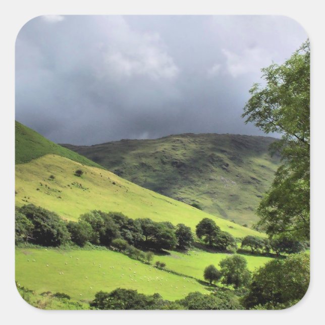 WALANSICHT QUADRATISCHER AUFKLEBER (Vorderseite)