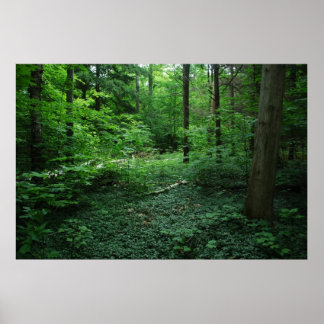 Wald3 Poster
