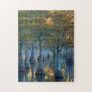 Wald aus Teichzypressen Puzzle