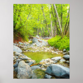 Wald Bach Fotoabzug | Grüne Waldkunst Poster
