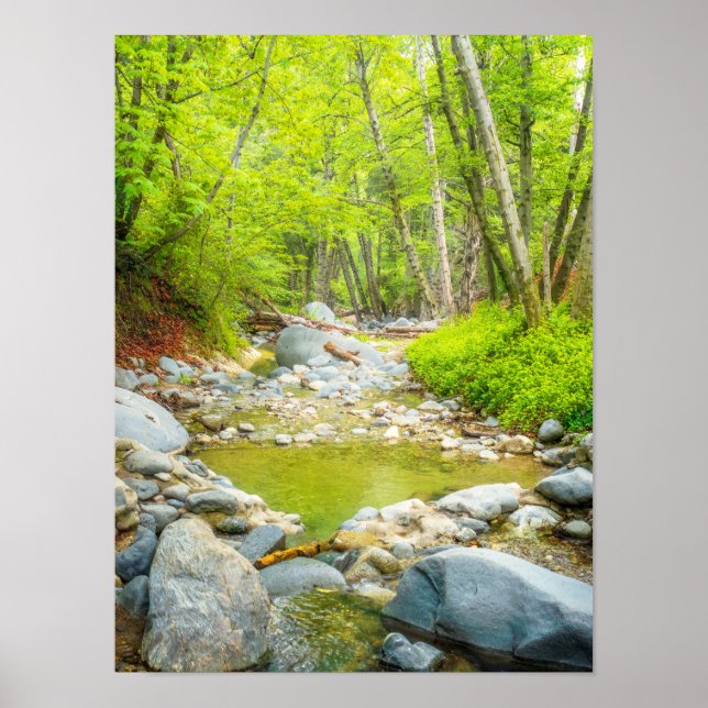 Wald Bach Fotoabzug | Grüne Waldkunst Poster (Vorne)