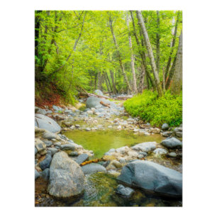 Wald Bach Natur Landschaftsfoto Kunst Druck