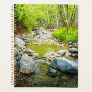 Wald Bach Natur Landschaftsfoto Kunst Planer