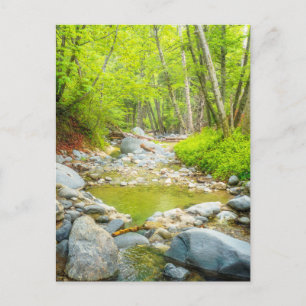 Wald Bach Postkarte Friedliche Naturszene Kunst