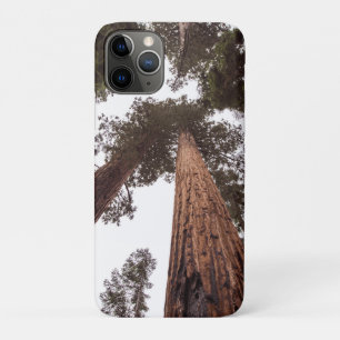Wald, Baum Case-Mate iPhone Hülle