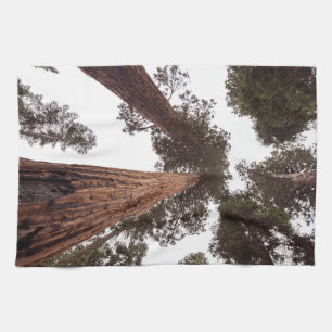 Wald, Baum Geschirrtuch