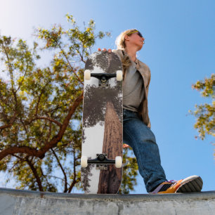 Wald, Baum Skateboard