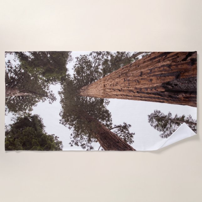 Wald, Baum Strandtuch (Vorderseite)