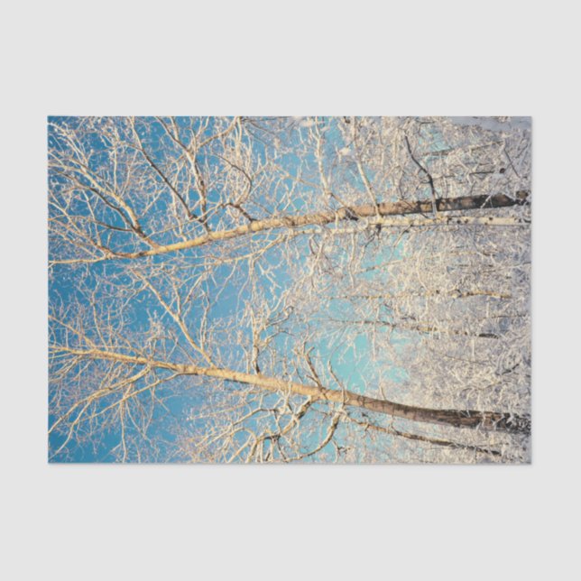 Wald Bäume Blue Sky Winter Woodland Seidenpapier (Vorderseite)