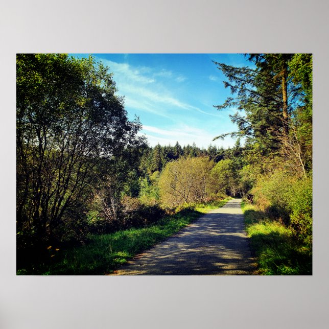 Wald Bäume entlang Spazierweg Herrliche Tag Poste Poster (Vorne)