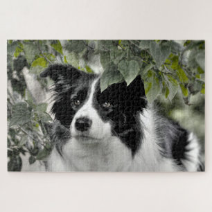Wald Border Collie 1014 Teile Puzzle
