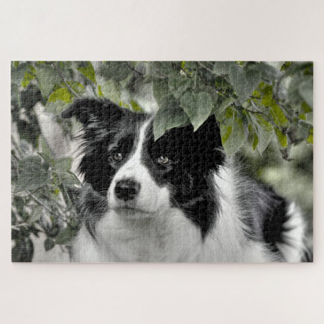 Wald Border Collie 1014 Teile Puzzle (Horizontal)