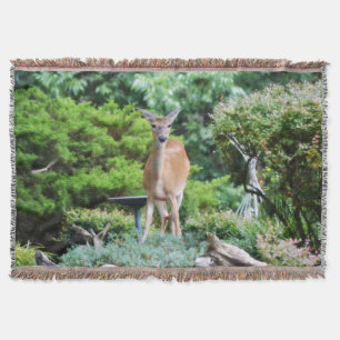 Wald Deer Decke