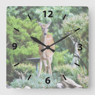 Wald Deer Quadratische Wanduhr