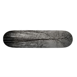 Wald der Bäume Skateboard