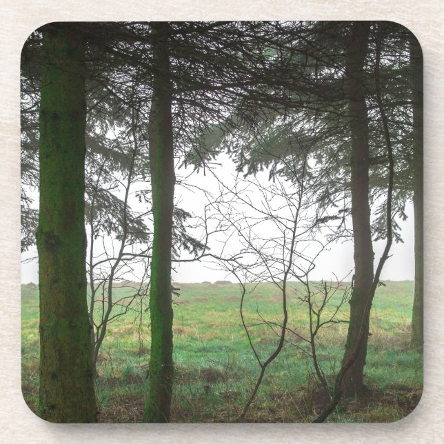 Wald, der die Räumung im Nebel übersieht Untersetzer (Vorderseite)