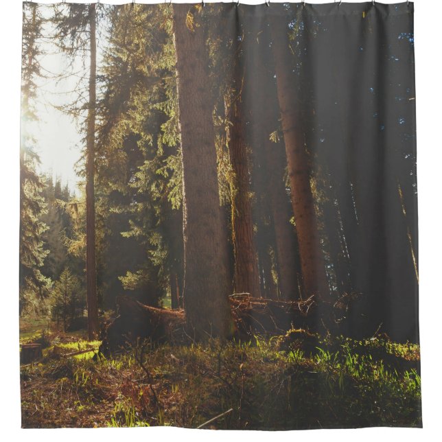 Wald Duschvorhang (Vorderseite)