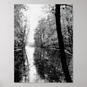Wald Fluss Schwarz-Weiß Poster