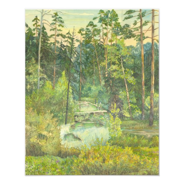 Wald Fotodruck (Vorne)